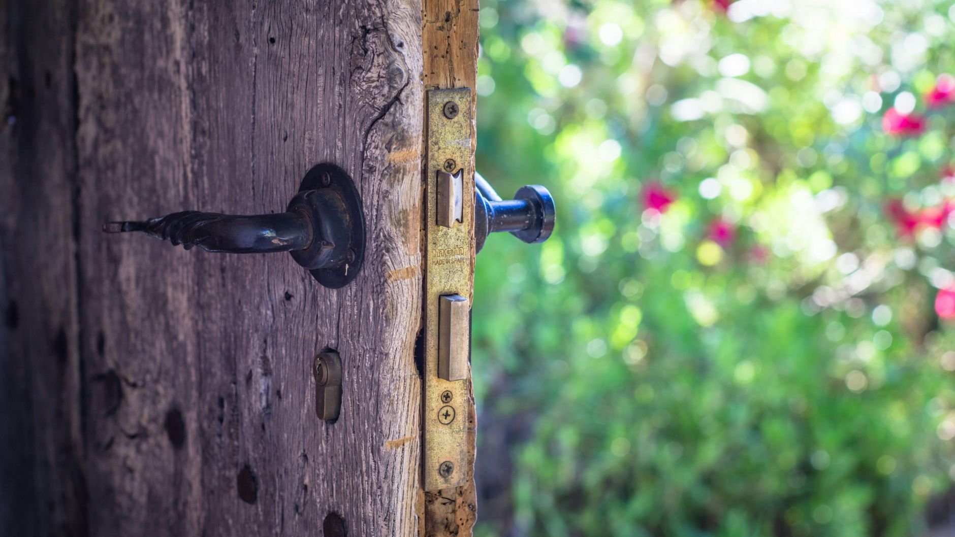 Old door halfway open revealing a garden outside, childhood trauma therapy San Antonio Texas