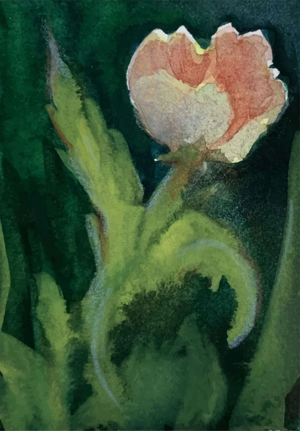 Abstract, pink watercolor, Vita Counseling Center trauma therapy for women in Austin, Texas.