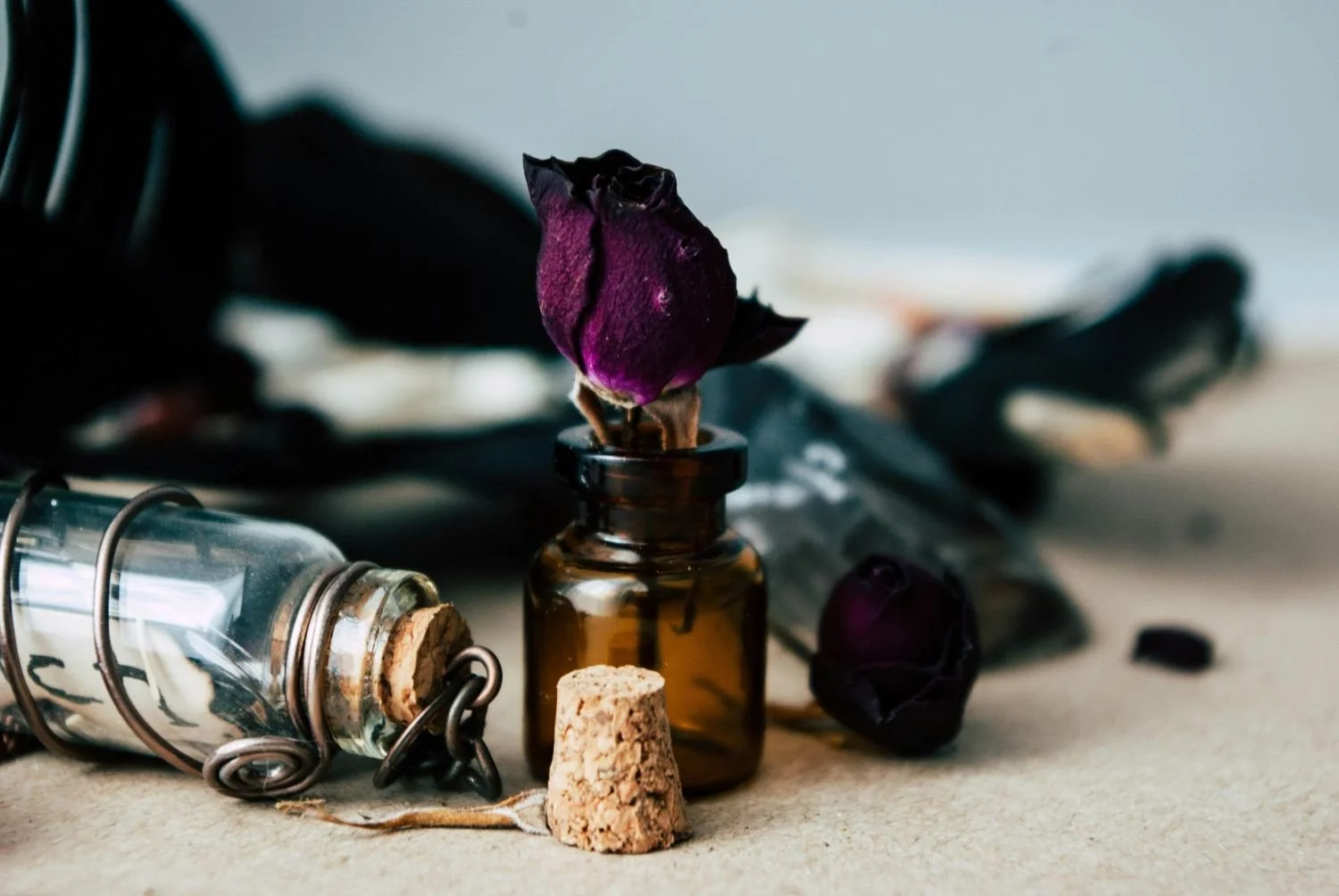 Dried purple roses in small glass bottles, with cork stoppers, on a beige surface, surrounded by dark objects, online trauma therapy for women with Rebecca Flores, LPC.