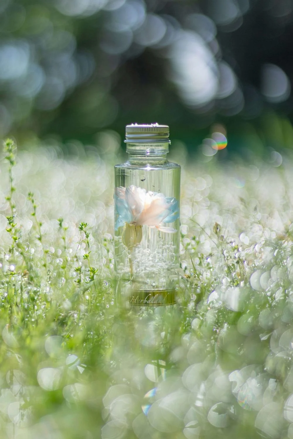 Single flower in glass of water in a sunny field, perfectionism therapy San Antonio Texas