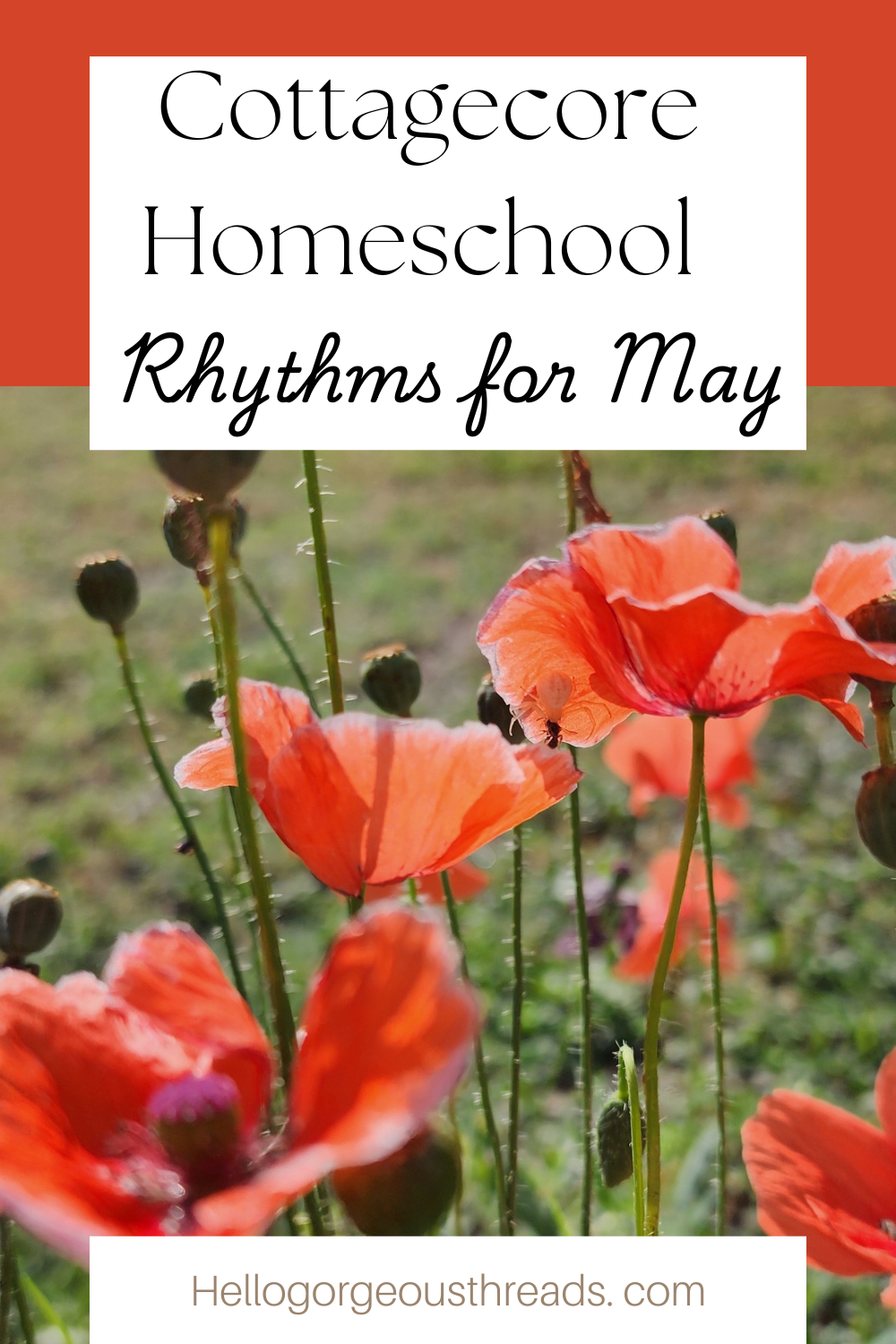 cottagecore homeschool, cottagecore gardening, outdoor homeschool ideas, garden-based homeschooling, homeschool in the garden, nature study homeschool, seasonal homeschooling, cottagecore lifestyle, homeschool rhythm, slow living homeschool