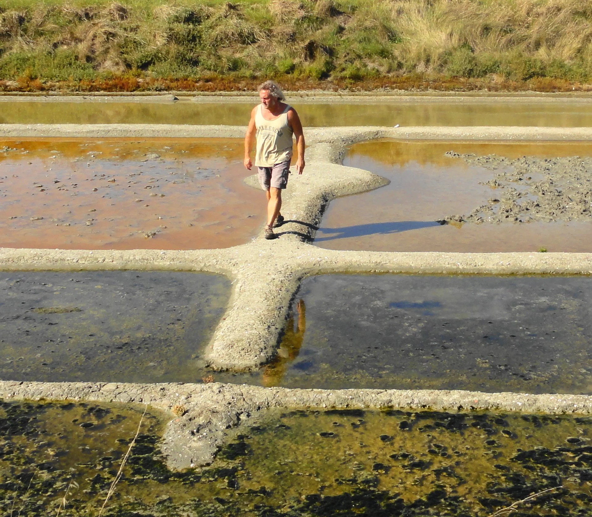 Summer Salt Pan, Vendée
