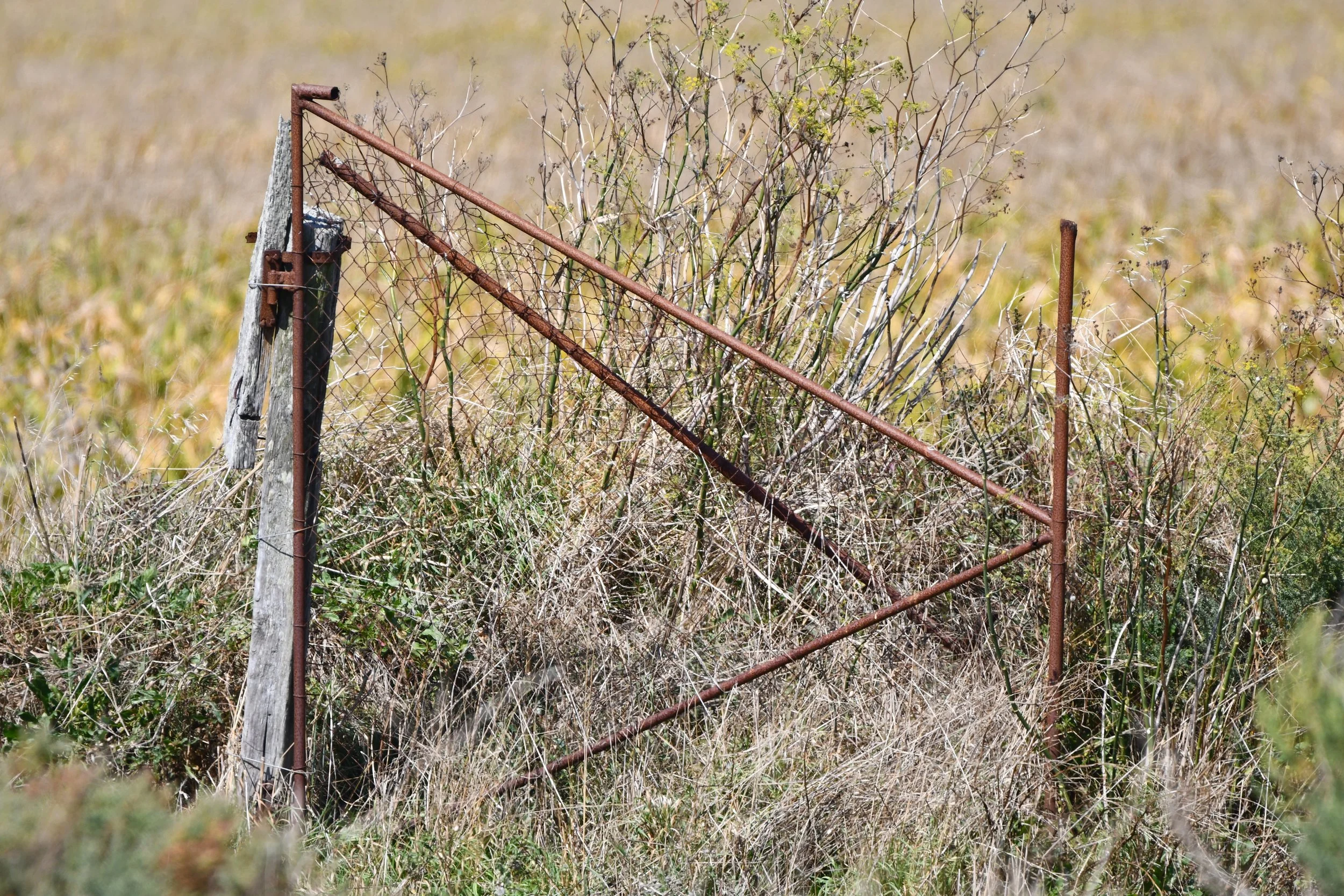 Gate, Vendée