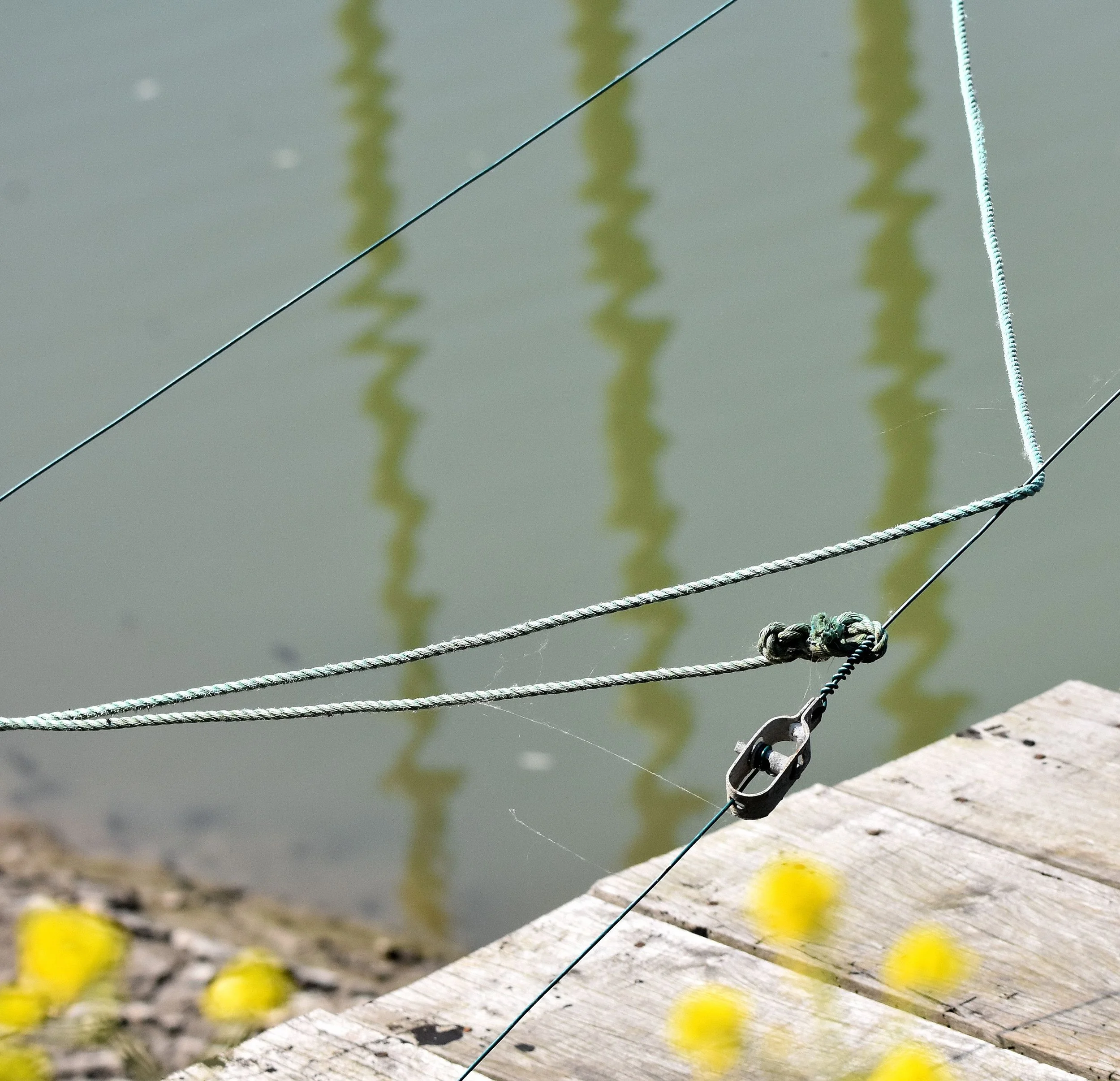 Reflections, Vendée