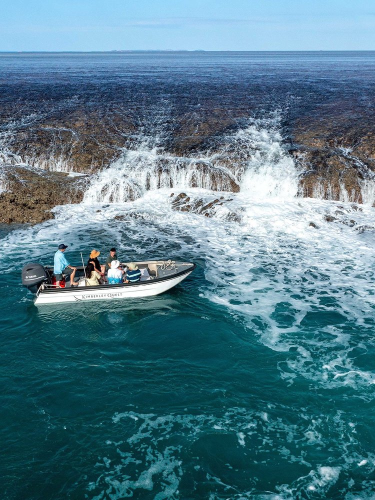 Humpback whale season in the Kimberley