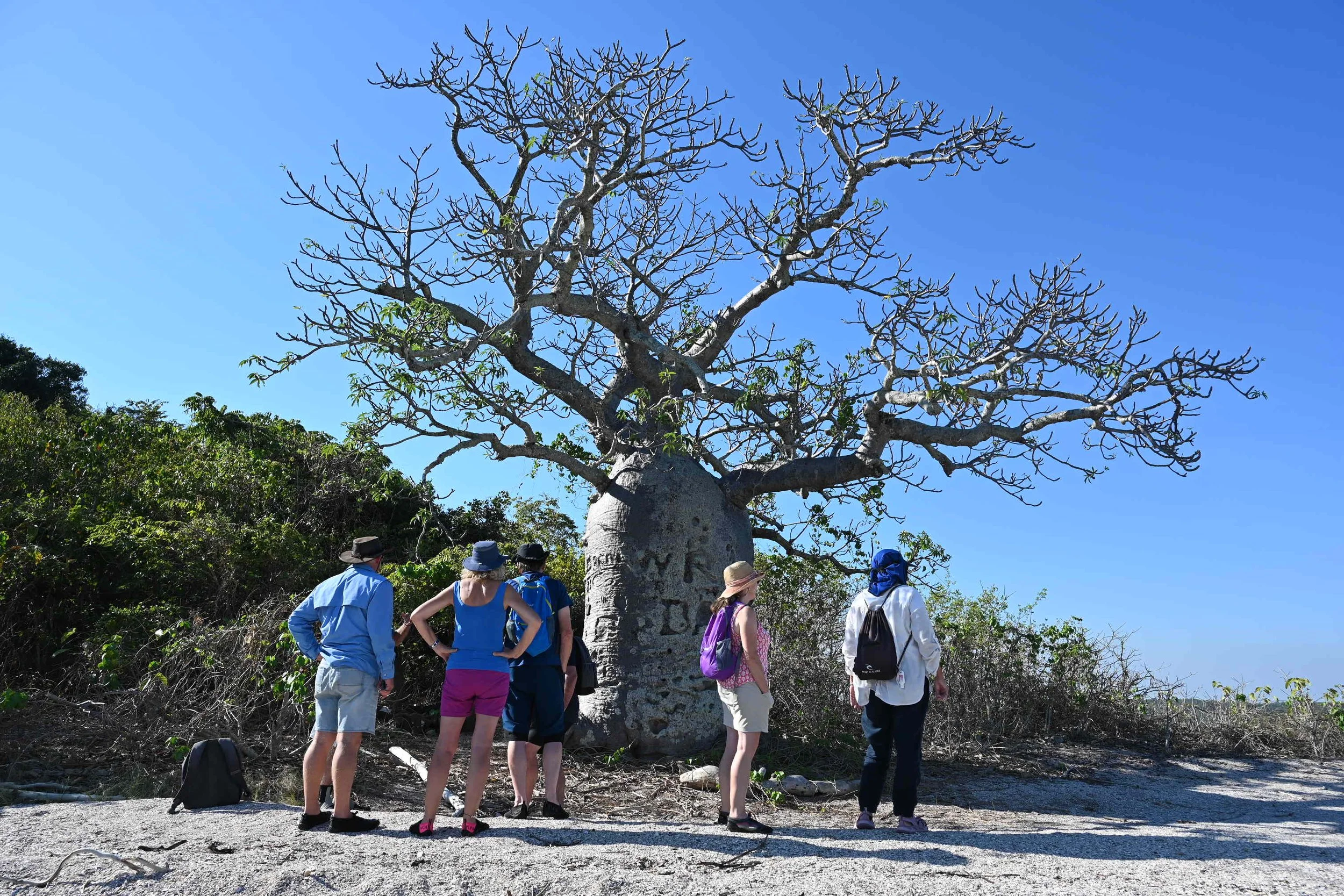DAY 7: Camden Harbour, Kuri Bay