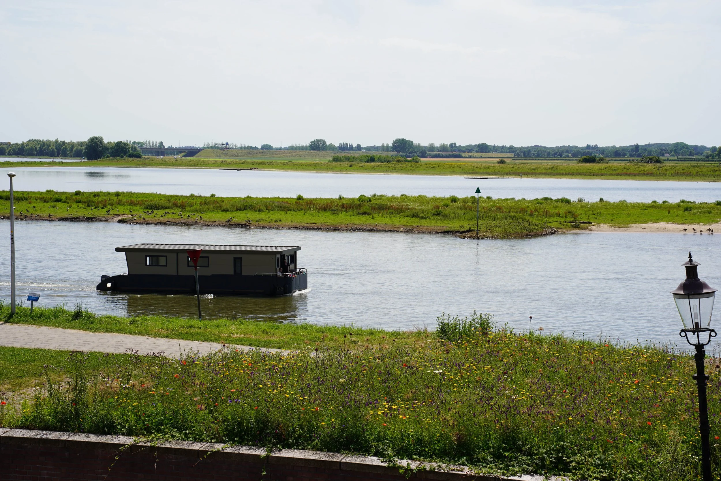 Houseboat on a river with grassy banks and wildflowers.