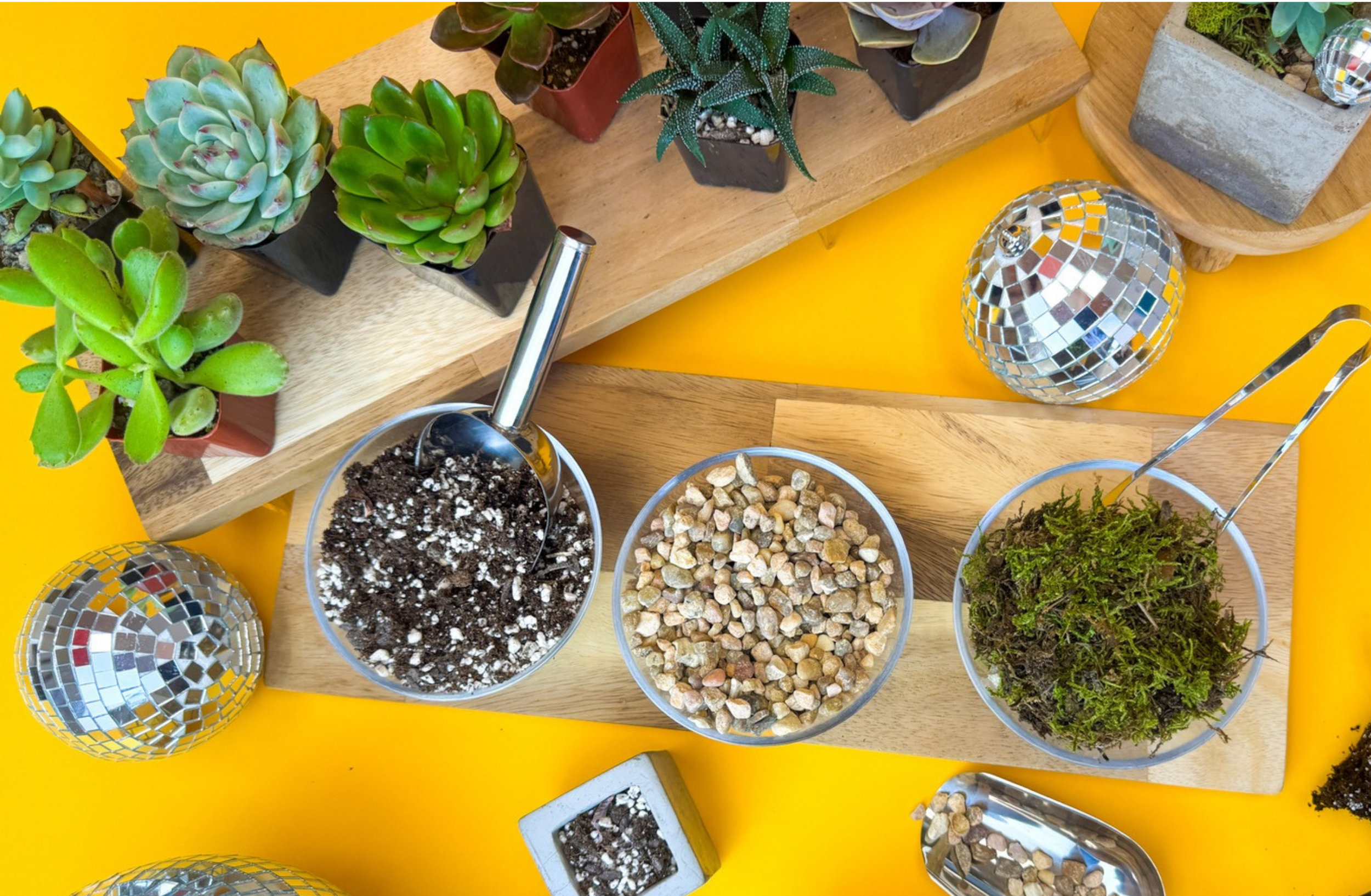 Succulents, potting soil, gravel, moss, tools, and mirrored decorations arranged for a planting station.
