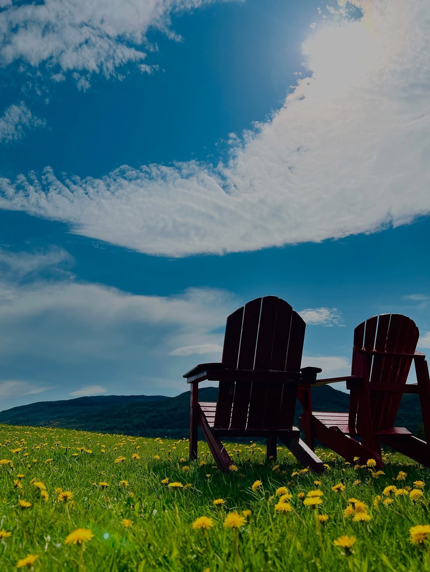 There&rsquo;s no shortage of views to take in on our property! Sit with your fresh cup of tea or coffee in the morning, or your wine in the evening! Either way, this is just want the soul is asking for! ☀️