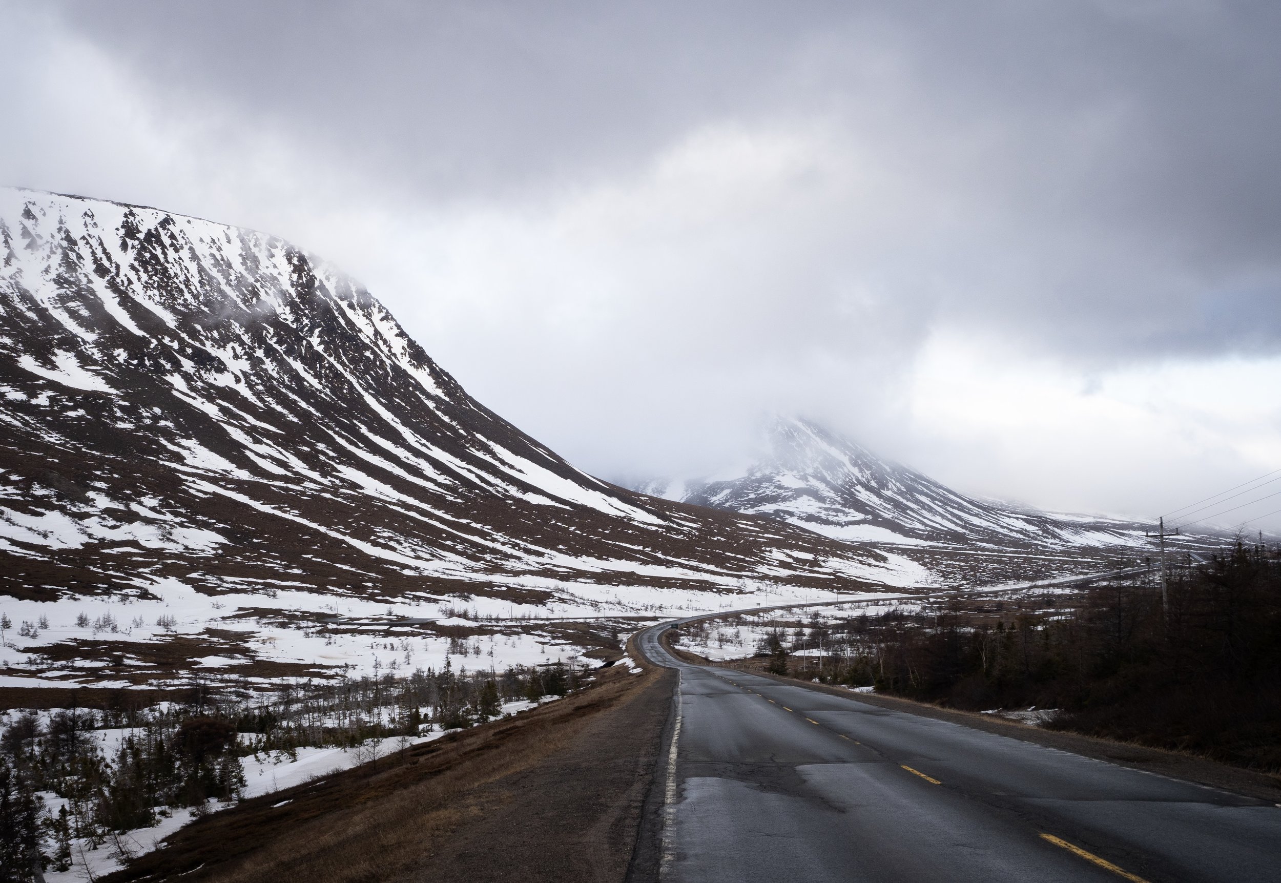 Road to Trout River