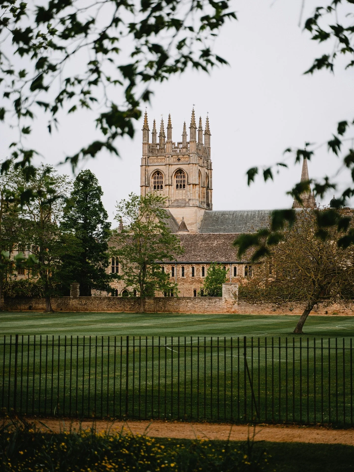 Mornings in Oxford have a way of slowing you down. The quiet lawns, the soft hum of bells, the steady rhythm of bicycles on cobblestone - everything moves at its own thoughtful pace. The Oxonian Tea was created in that same spirit: unhurried, intenti