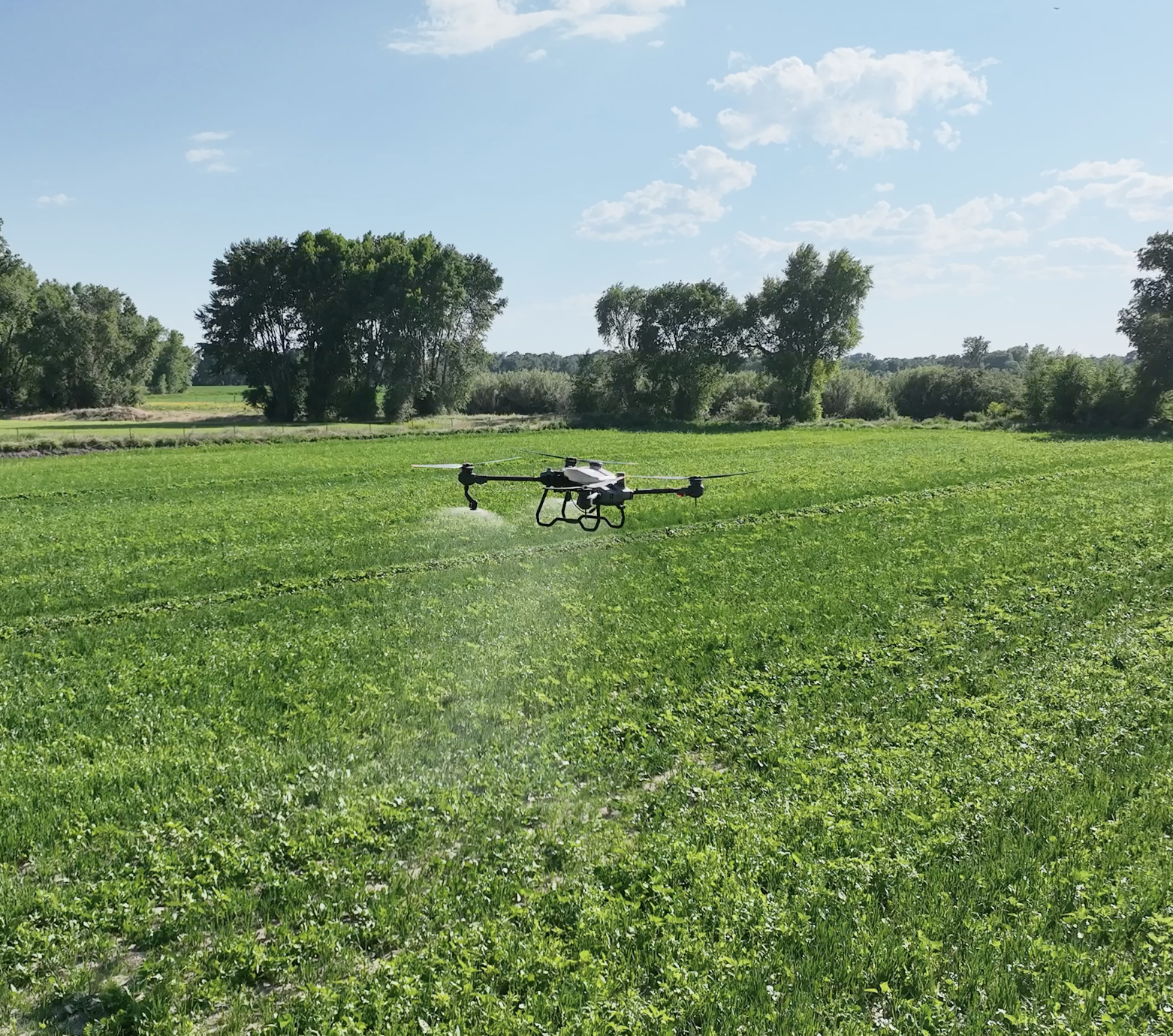 A drone applying organic fertilizer on a mixed forage crop.