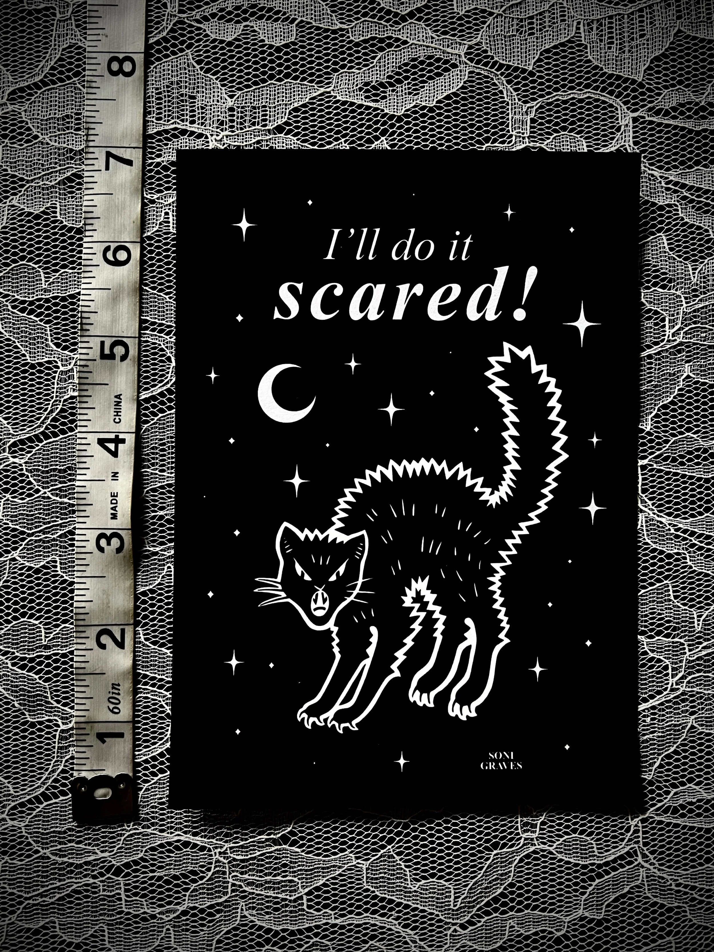 5x7 Scared Cat 2.jpg