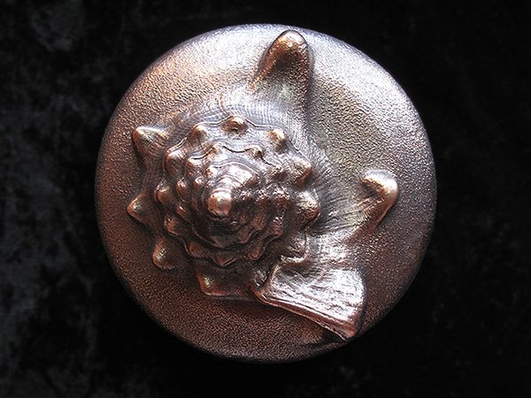 32_Conch-Shell_Bronze_Masters&Munn_Endangered_Species_small.jpg
