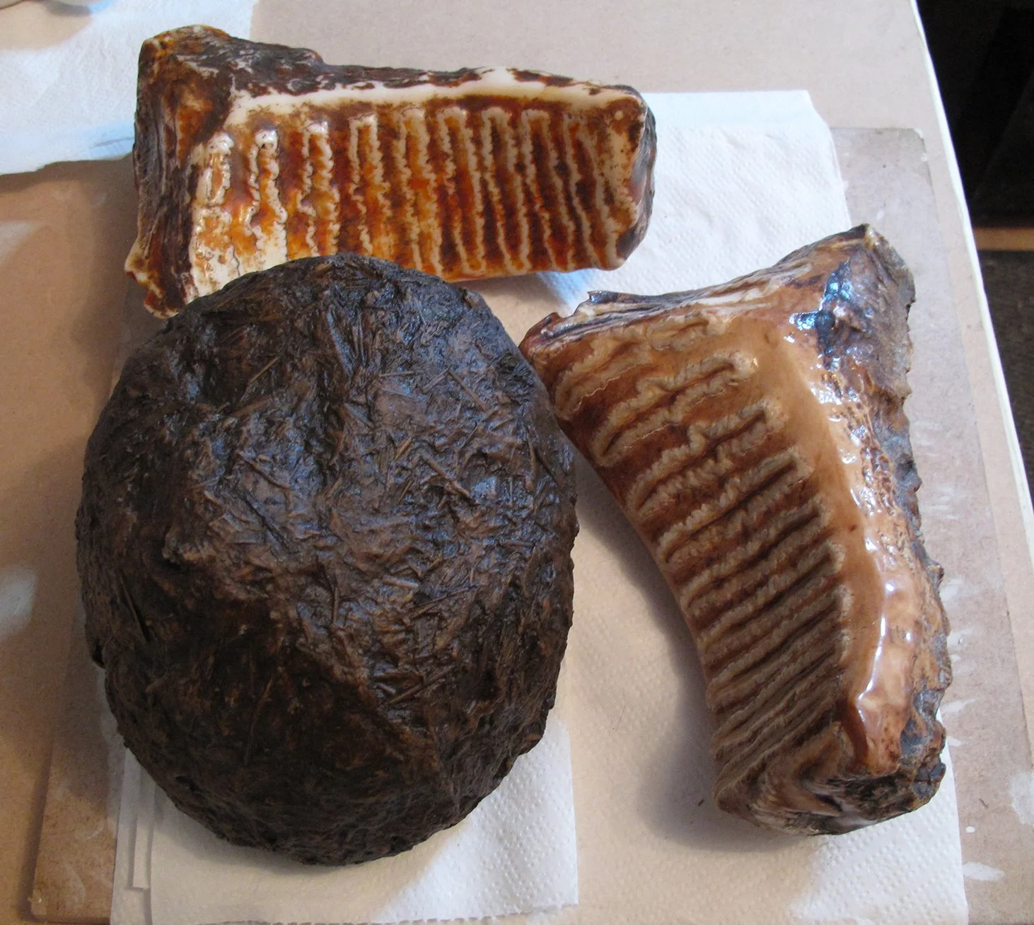 Elephant Poo and Tooth.jpg