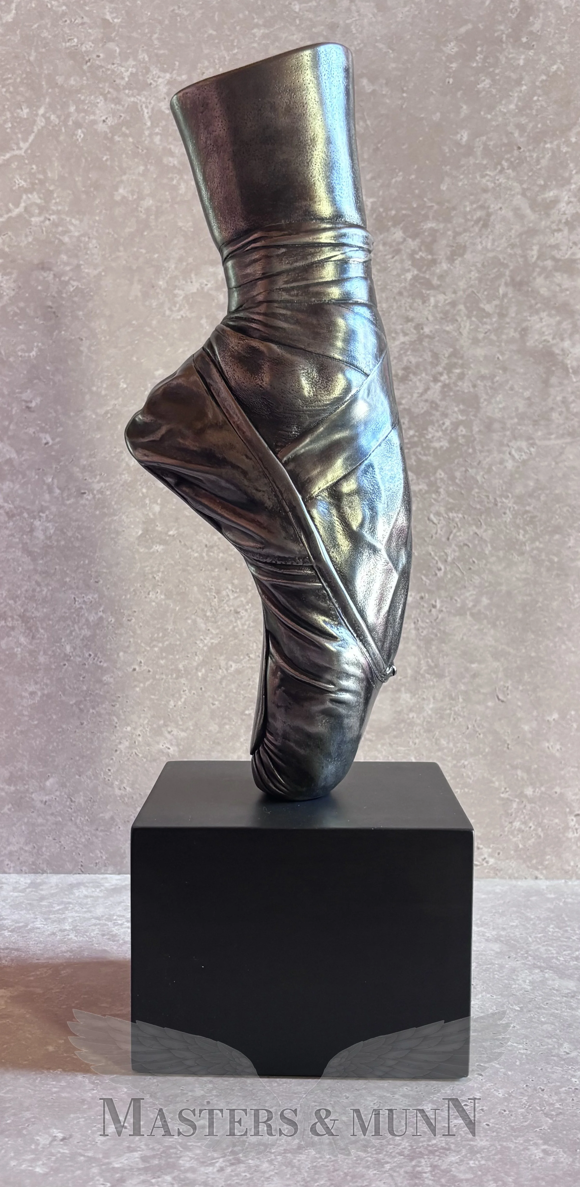 en pointe iron aluminium right 1wm.jpg
