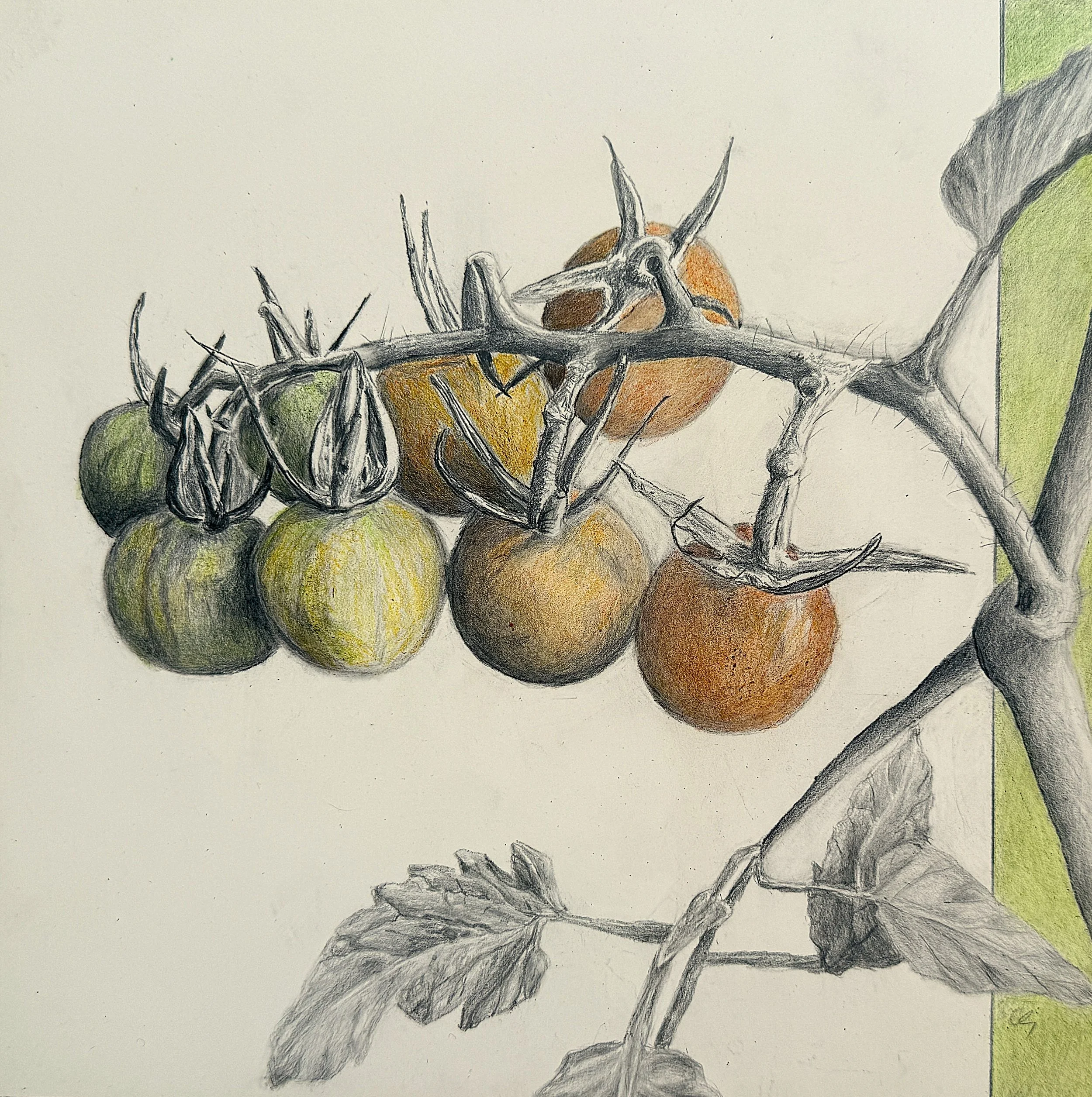 From Green to Red, 8 x 8, Graphite, colored and ink pencil on cradled panel
