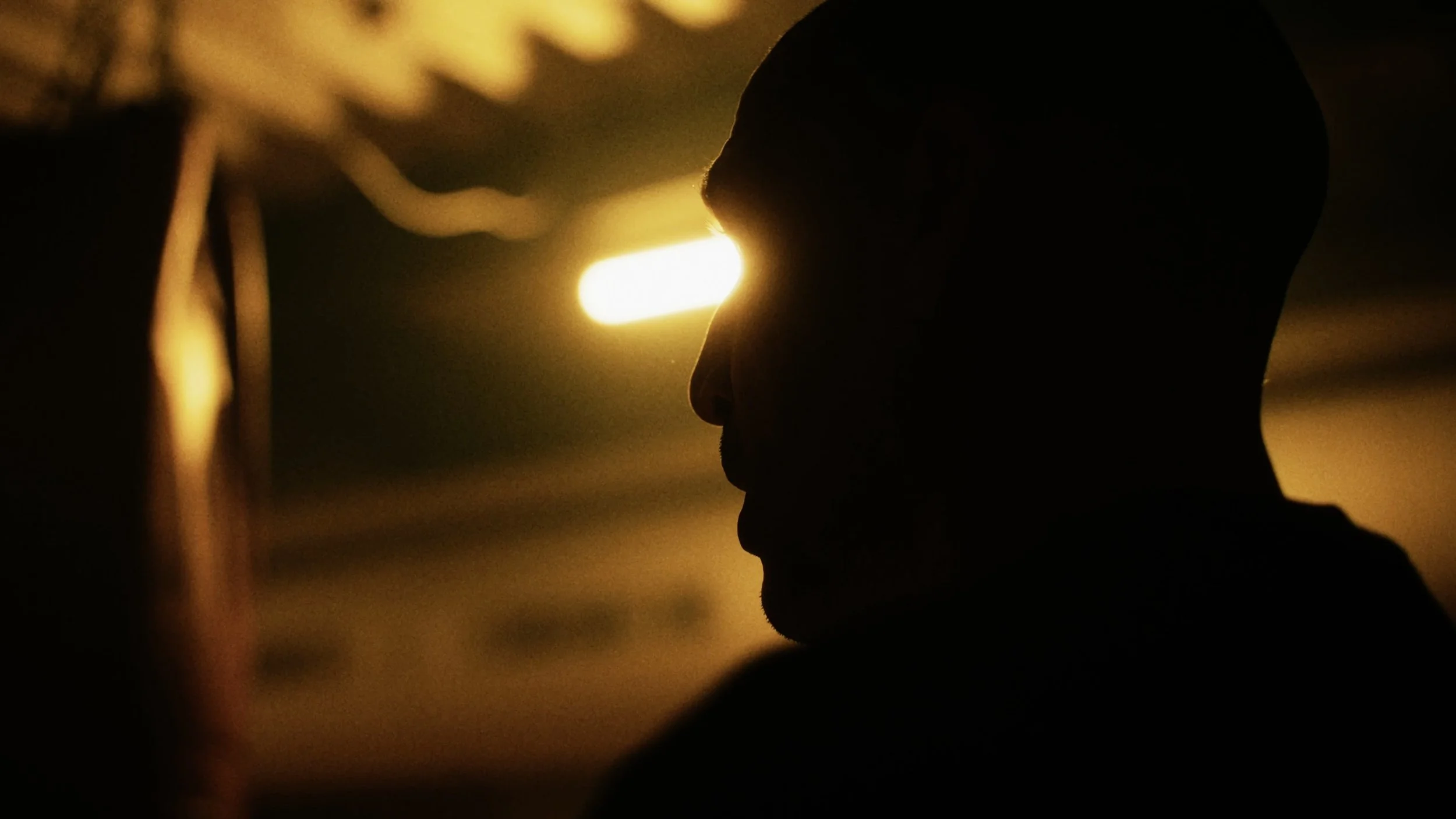 Still 2026-02-06 161535_1.69.6.jpeg