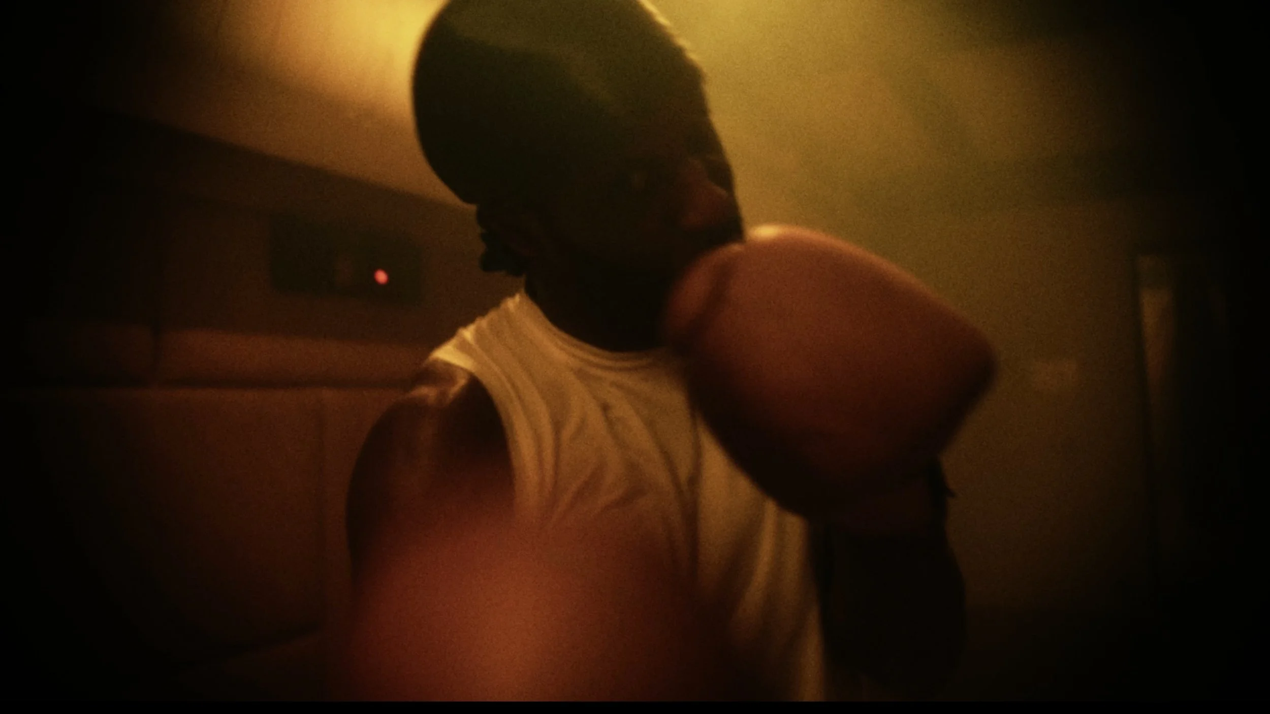 Still 2026-02-06 161535_1.69.10.jpeg