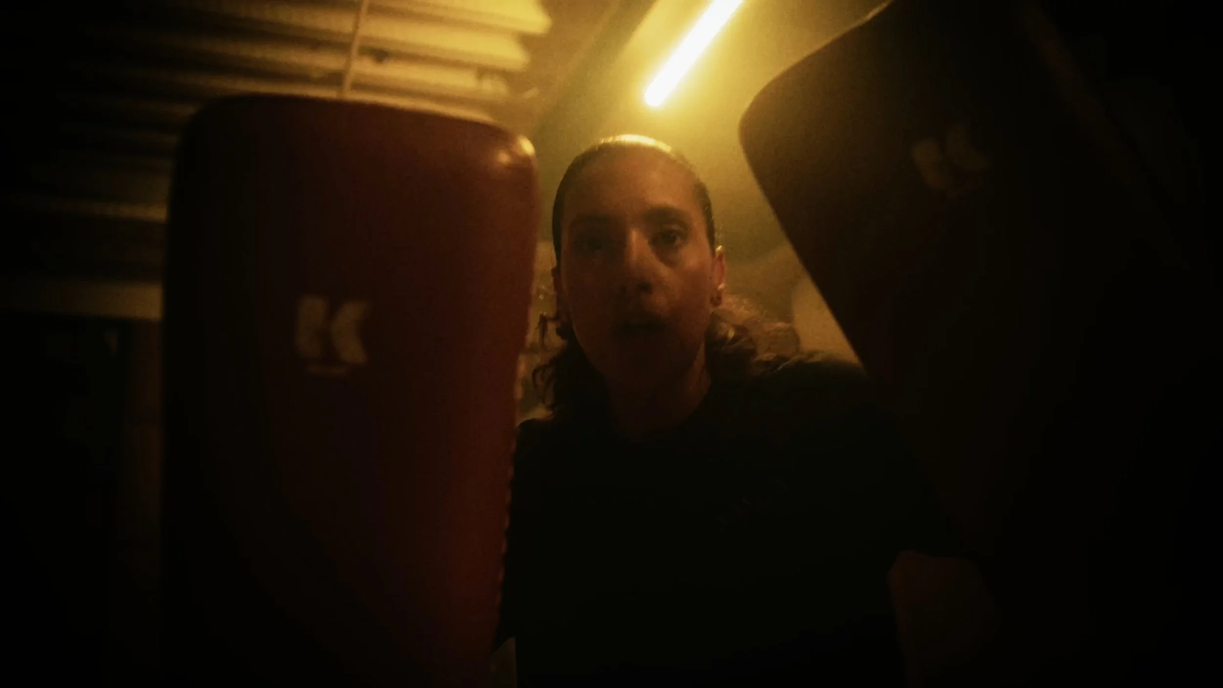 Still 2026-02-06 161535_1.69.9.jpeg