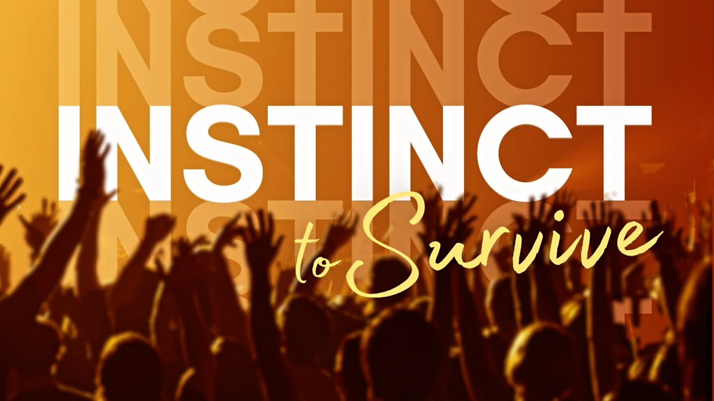 Got to design my most recent thumbnail for my own sermon🙃

I'll comment with the link whenever the video is up on YouTube. 

#graphicdesign #churchmarketing #preaching