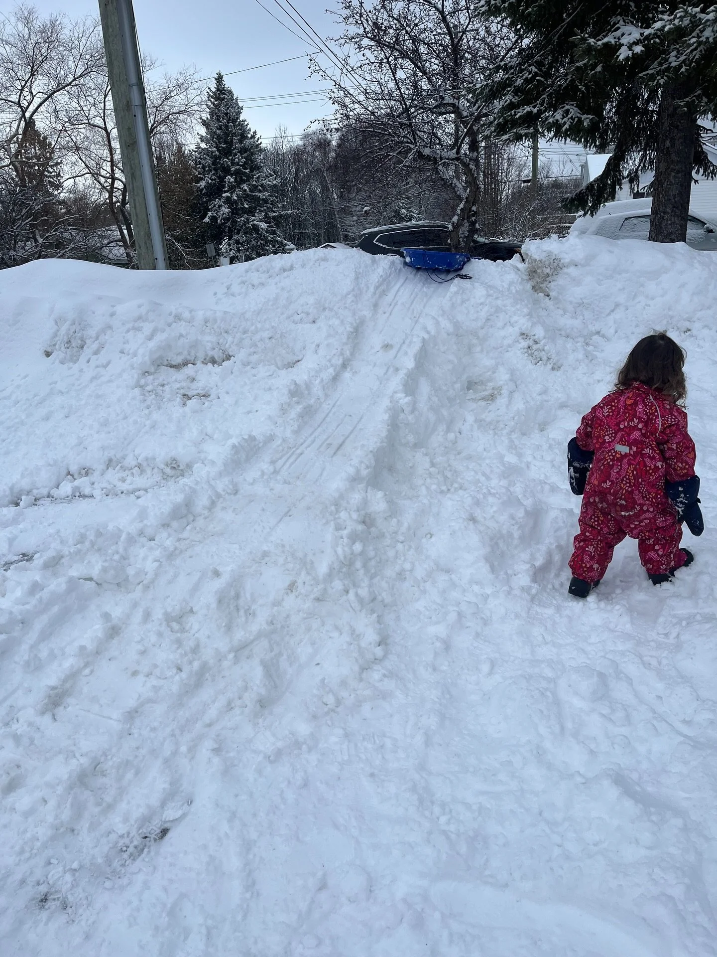 🌨️January Photo Dump

A quiet month in the studio, but pretty busy overall. 
Hoping to hunker down a bit more for February. Make some pots. 
2026 classes are in full swing and private lessons booking to the end of March. Studio memberships have laun