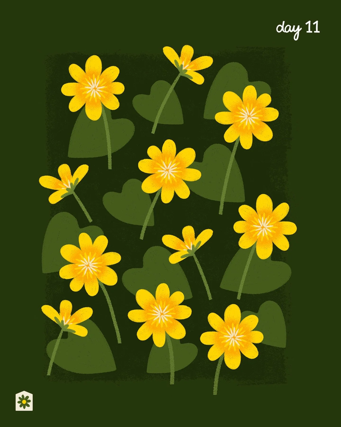 Day 11: Fig Buttercup
Seeing these little bursts of sunshine everywhere and feeling all the feels with the change of season.

I think they are fig buttercups - they&rsquo;re larger and grow in clumps with fun heart shaped leaves. 

100 Day Project | 