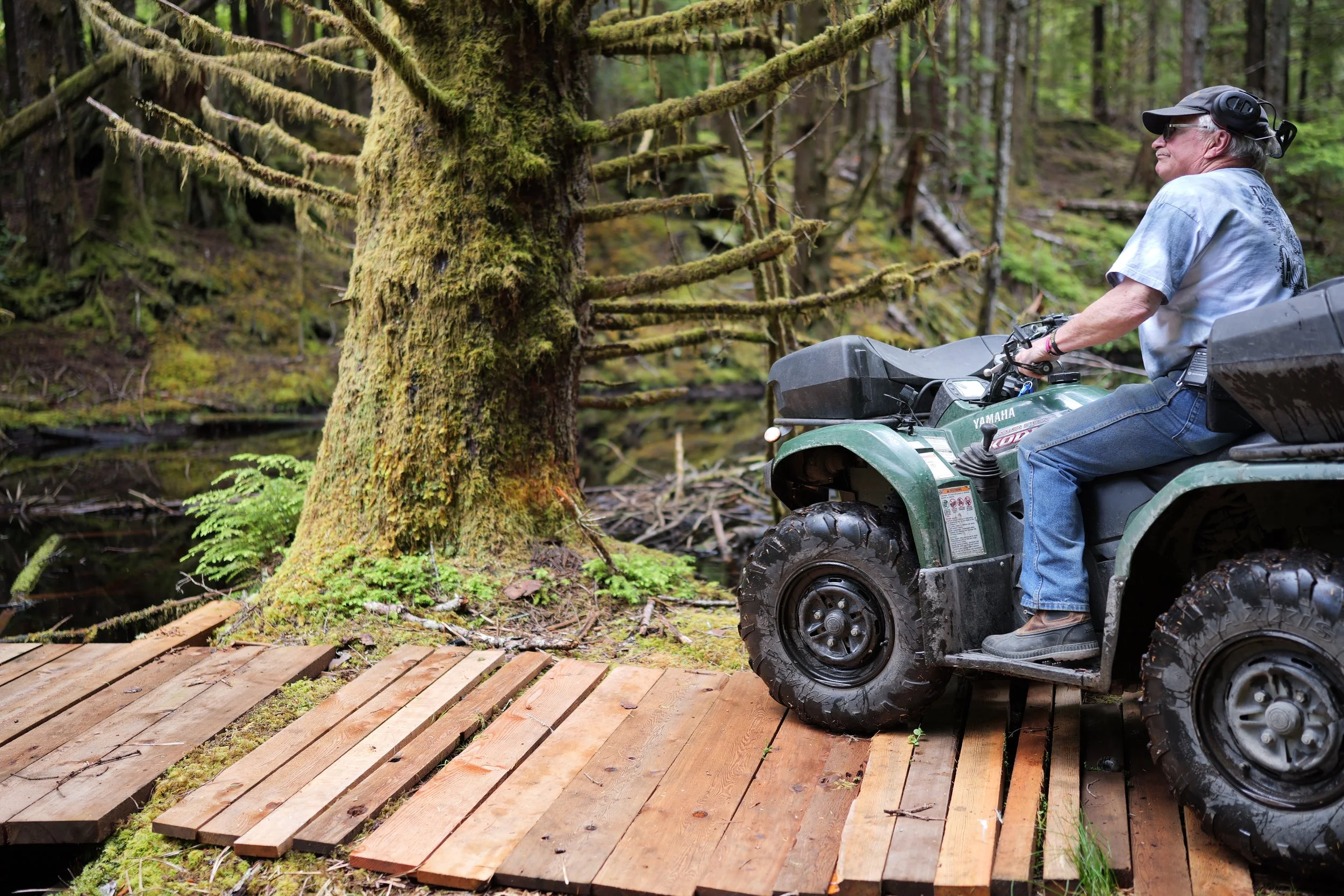 A man riding an all-terrain vehicle (ATV) in a moss-covered forest with trees and green foliage, a wooden pathway in the foreground.