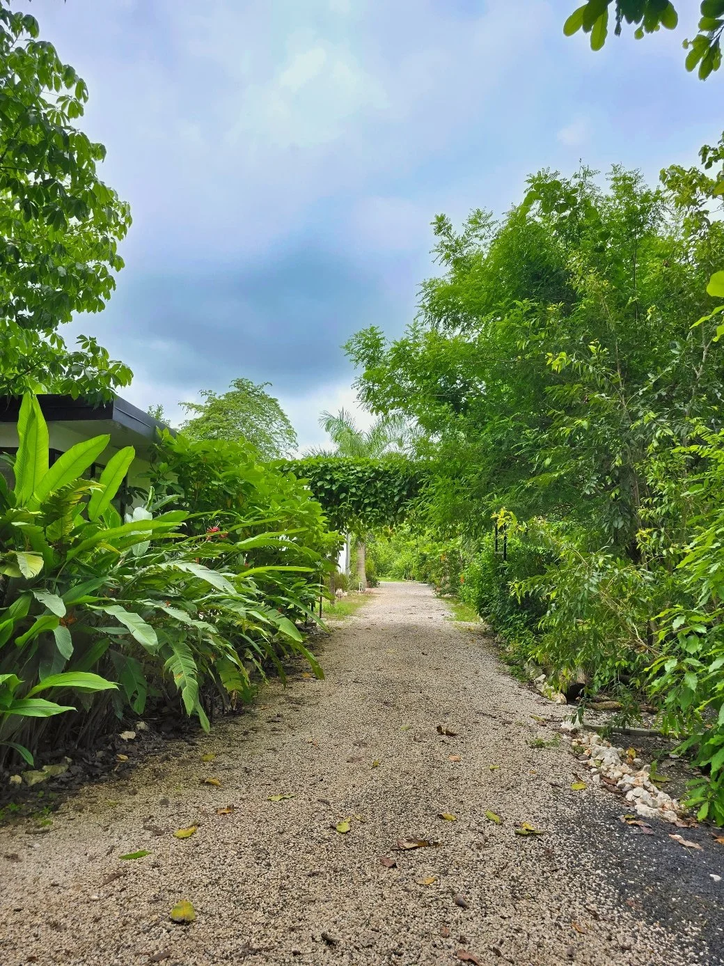 Congo-property-for-sale-Nosara-Driveway.jpg