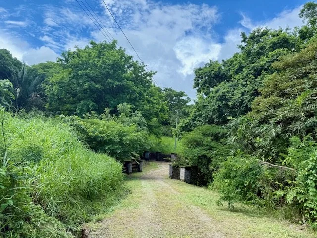 lots-for-sale-nosara-costa-rica-gate.jpg