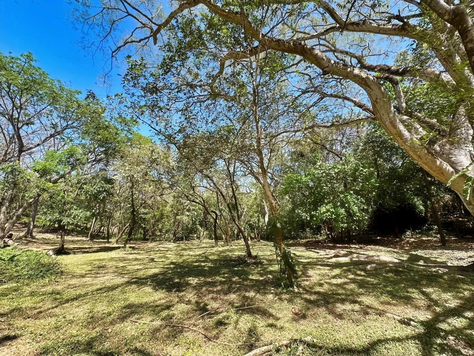 L Section Lot L-37-3