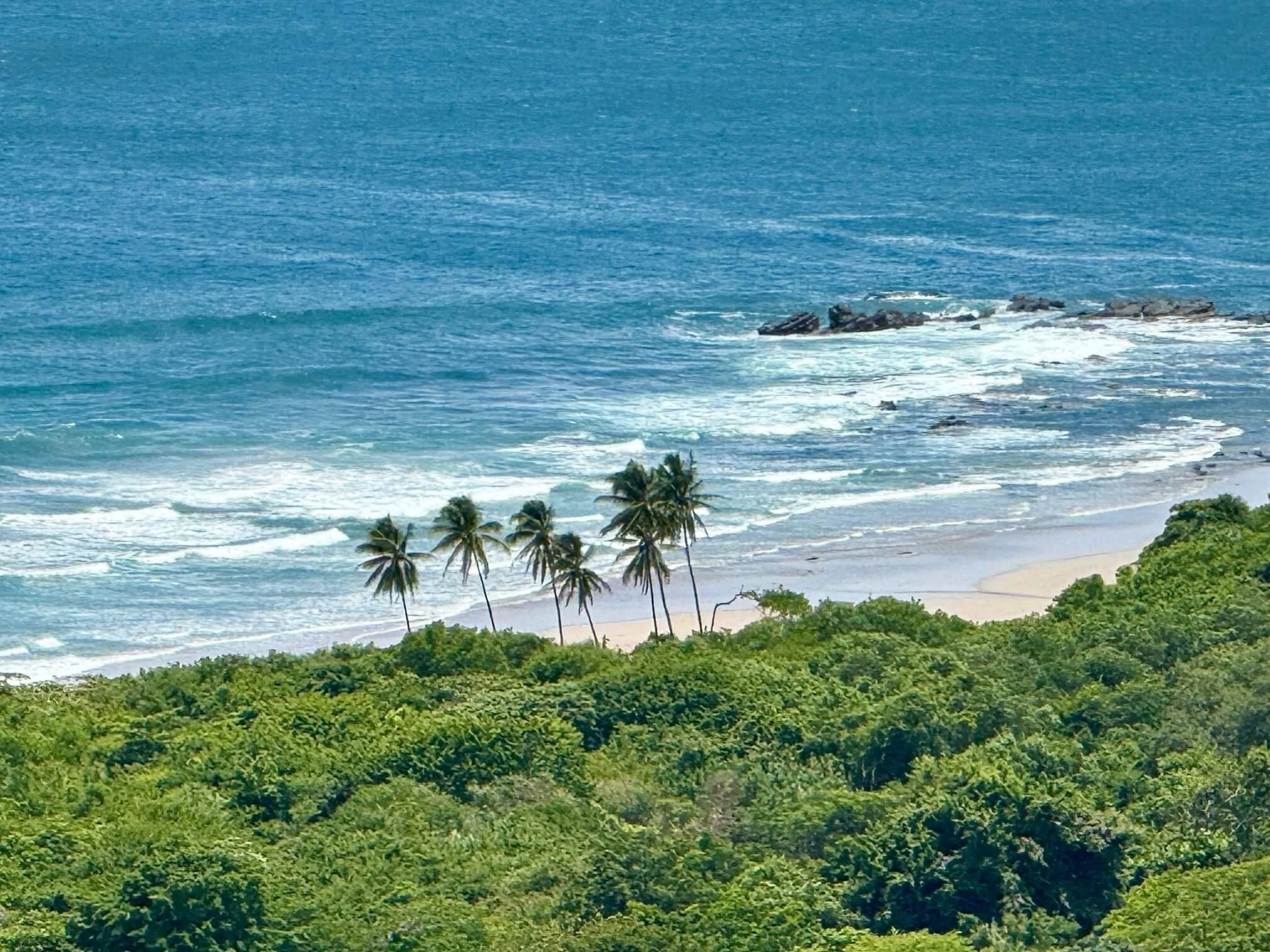 land-for-sale-nosara-costa-rica-ocean-view.jpg