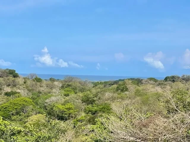 Delicias - Nosara Property for Sale