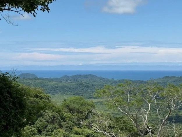 nosara-costa-rica-property-for-sale-ocean-view.jpg