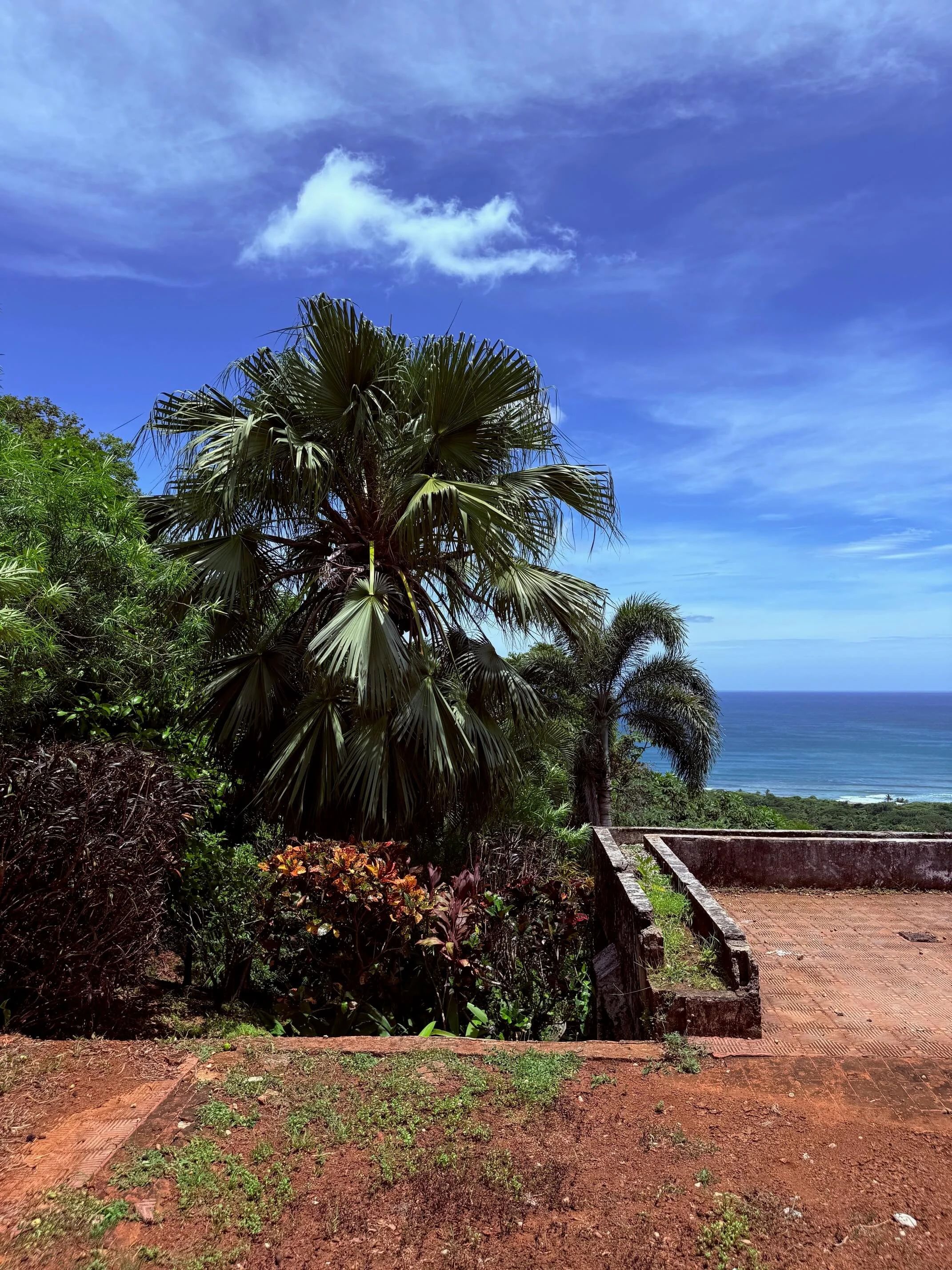 land-for-sale-nosara-costa-rica-flat-lot.jpg