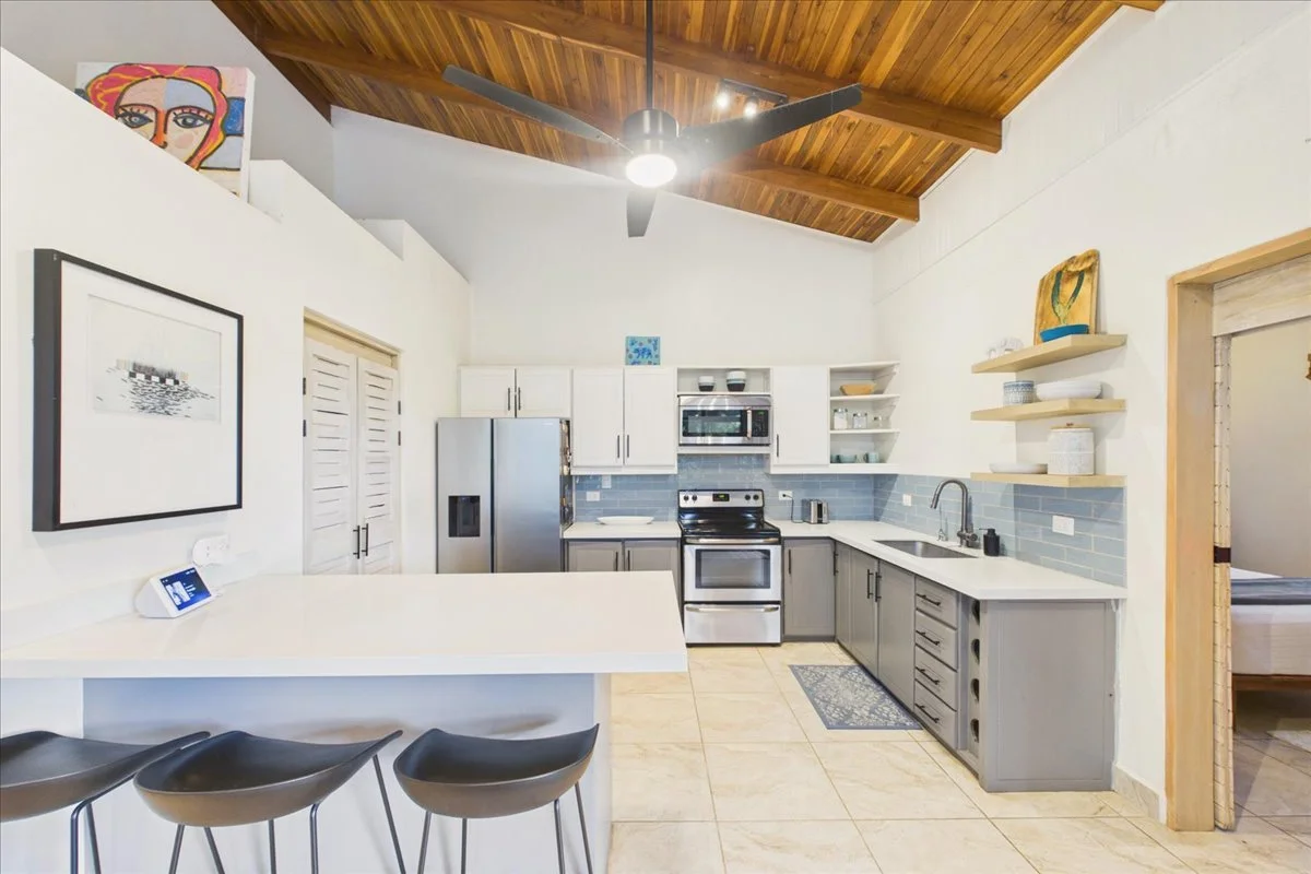 nosara-condo-for-sale-kitchen.jpg