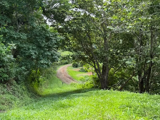 nosara-costa-rica-property-for-sale-entrance.jpg