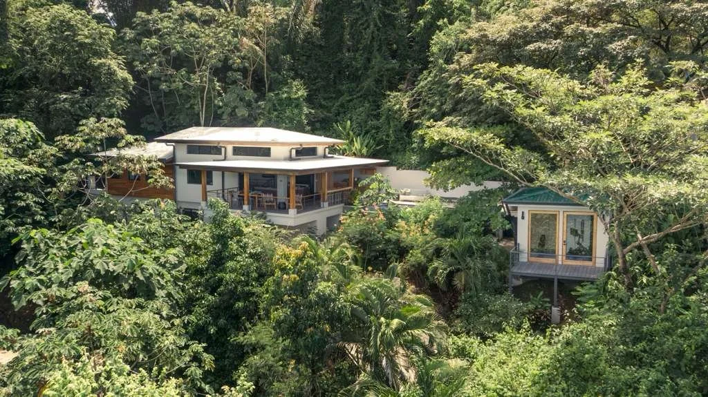 nosara-home-for-sale-jungle.jpeg