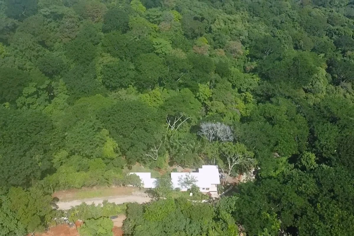 nosara-real-estate-for-sale-aeriel.jpg