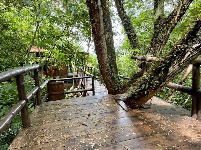 lots-for-sale-nosara-costa-rica-tree-house.jpg