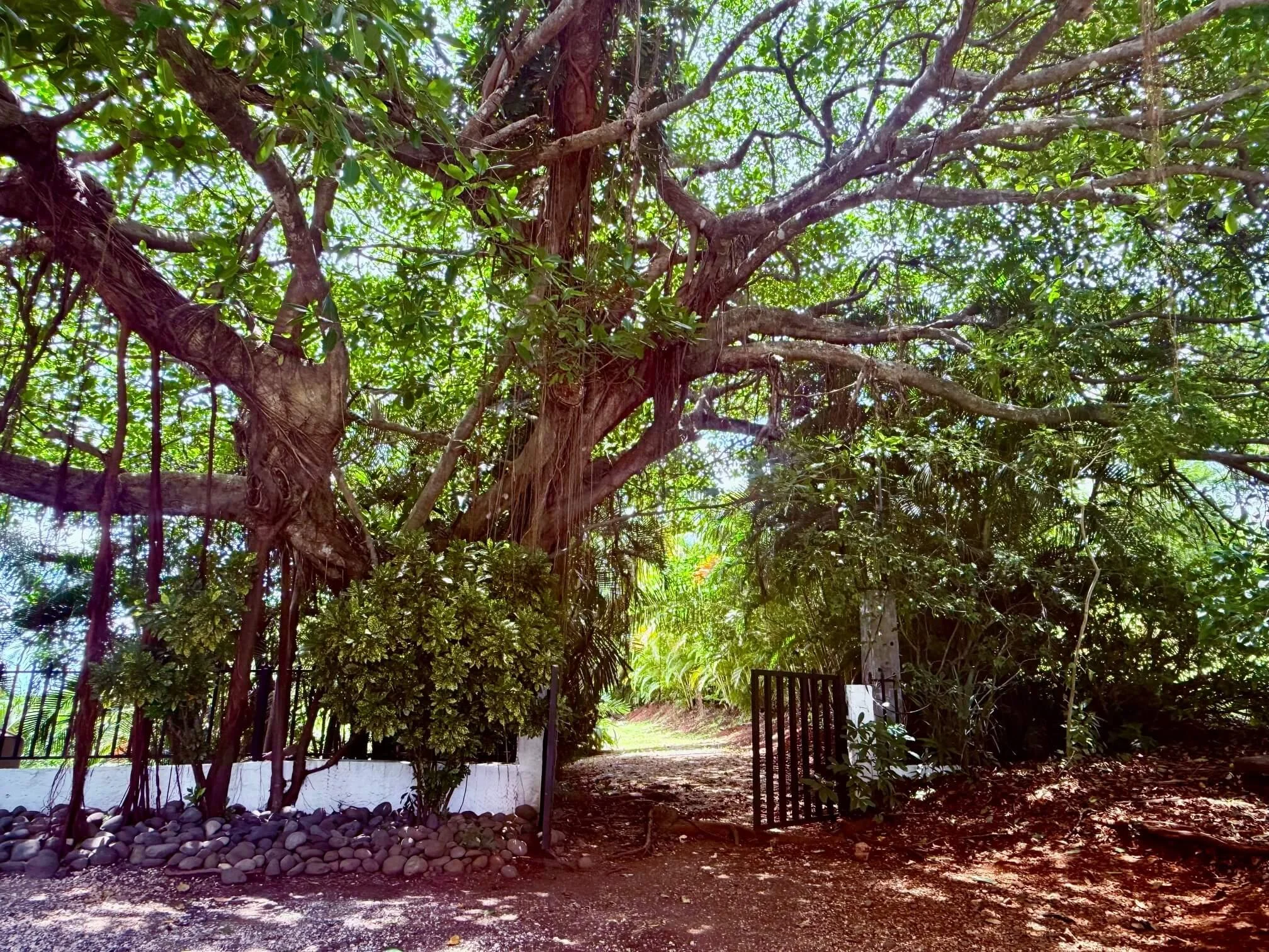 land-for-sale-nosara-costa-rica-entry.jpg