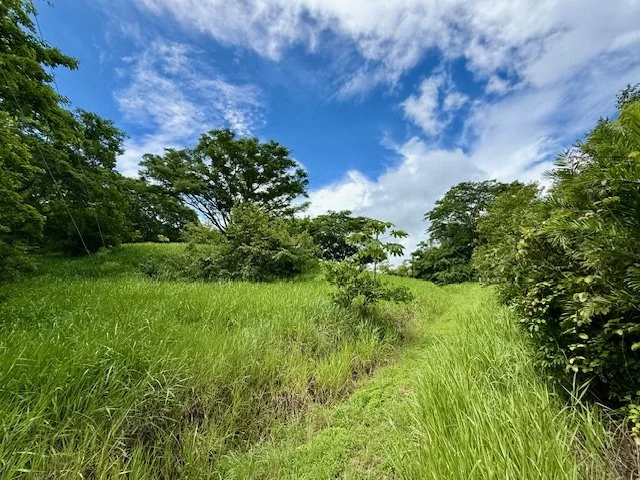 lots-for-sale-nosara-costa-rica-lot.jpg