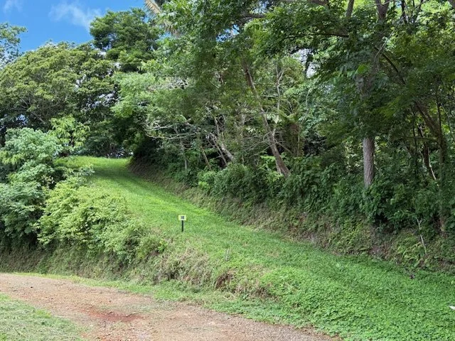 nosara-costa-rica-property-for-sale-driveway.jpg