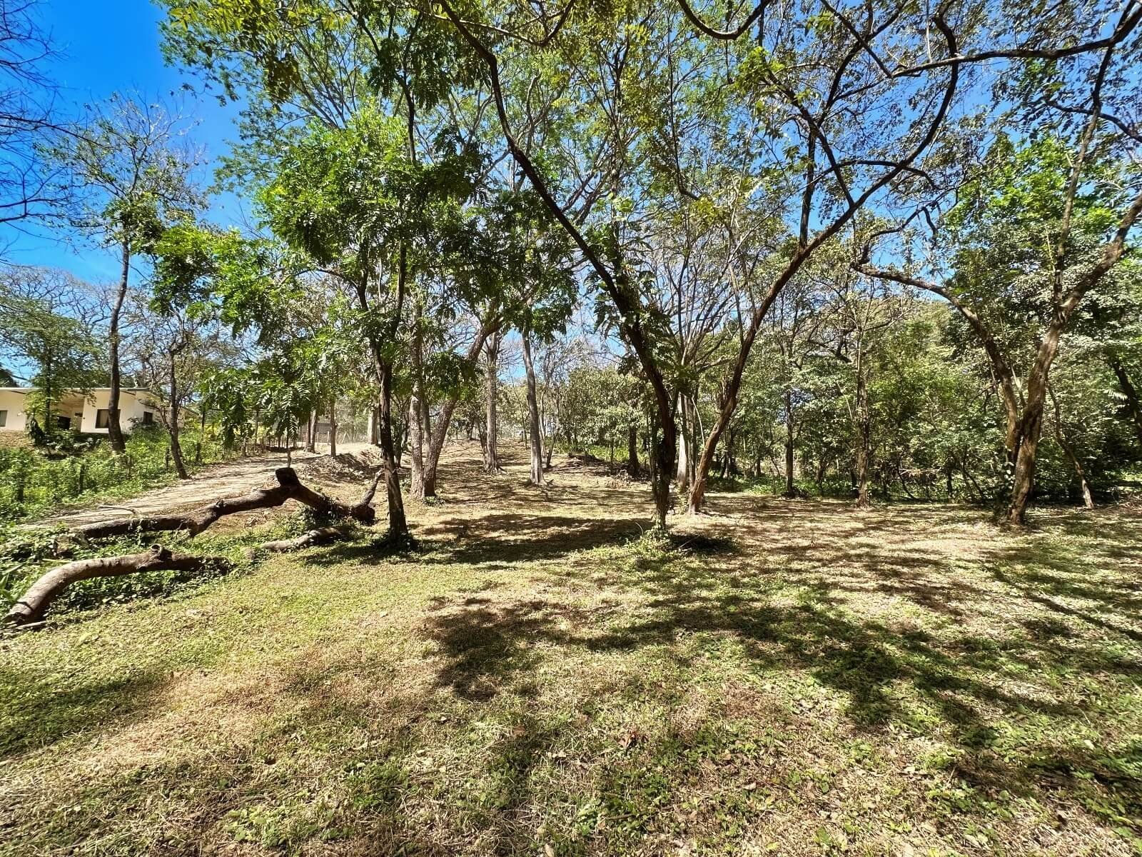 nosara-real-estate-top-lot.jpg