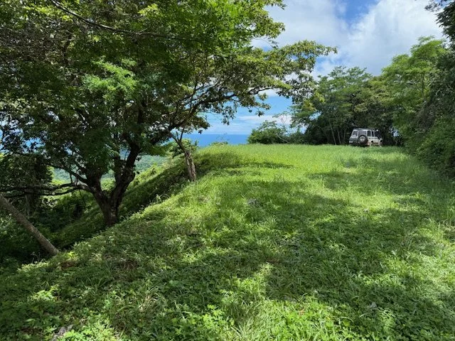 nosara-costa-rica-property-for-sale-shade-trees.jpg