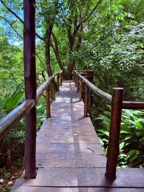 lots-for-sale-nosara-costa-rica-tree-houses.jpg