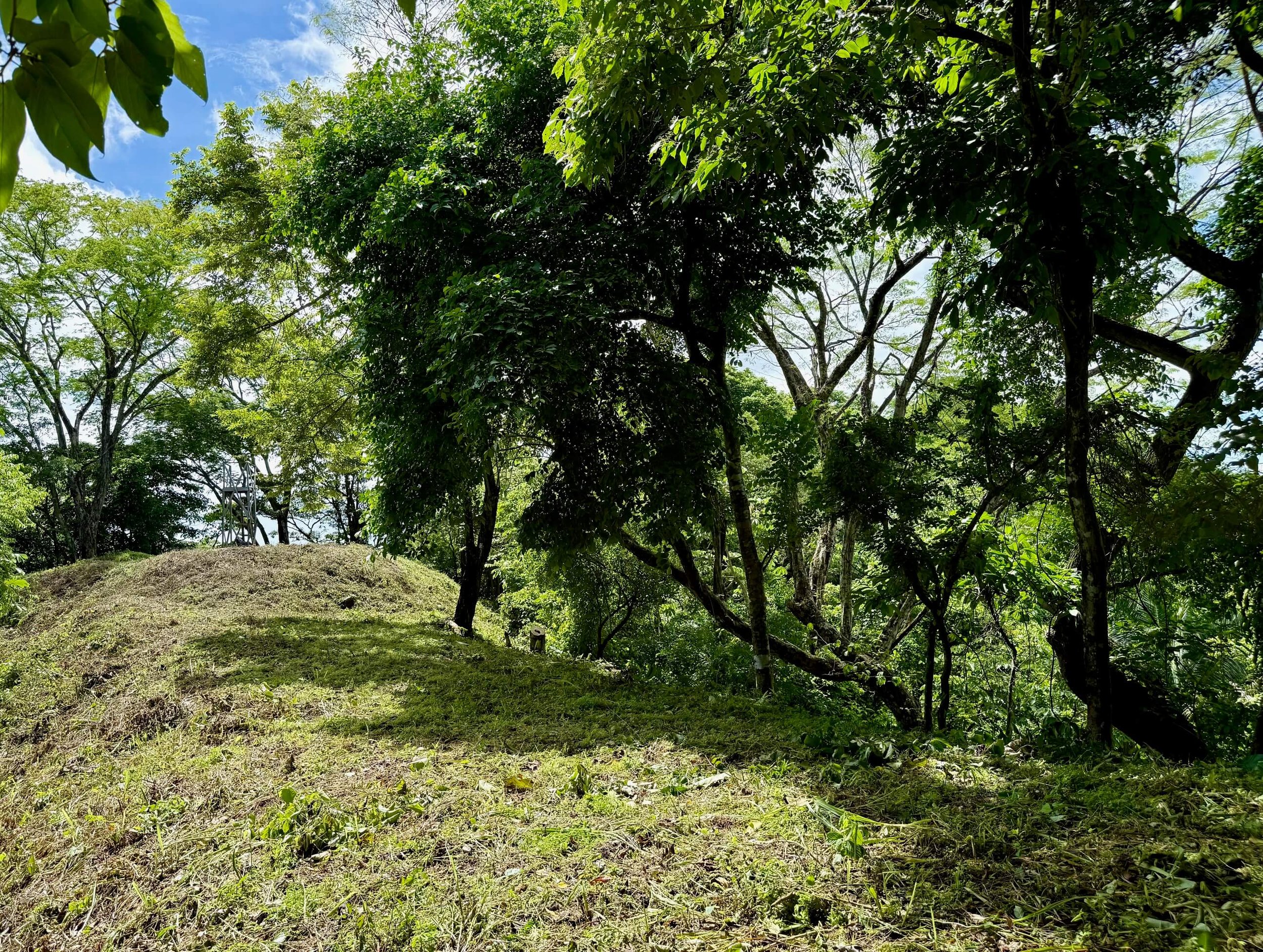 nosara-lots-space.jpg