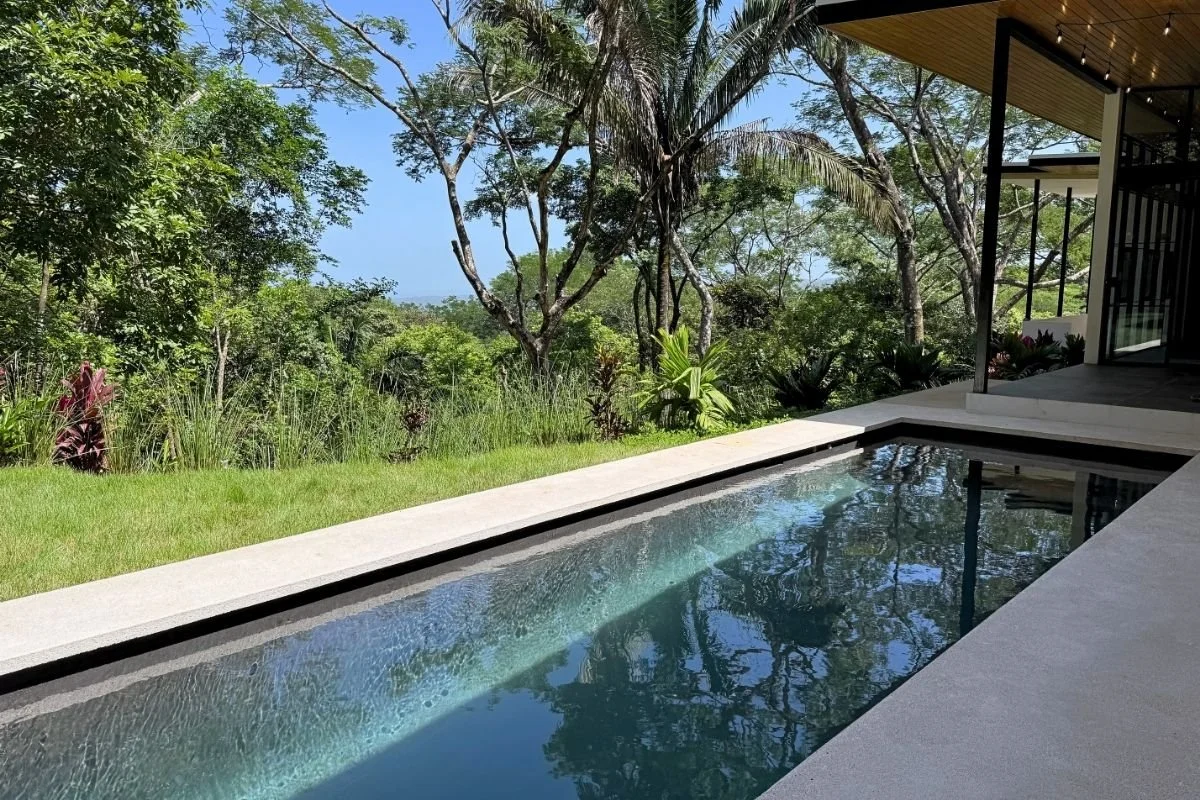 nosara-real-estate-for-sale-jungle-pool.jpg