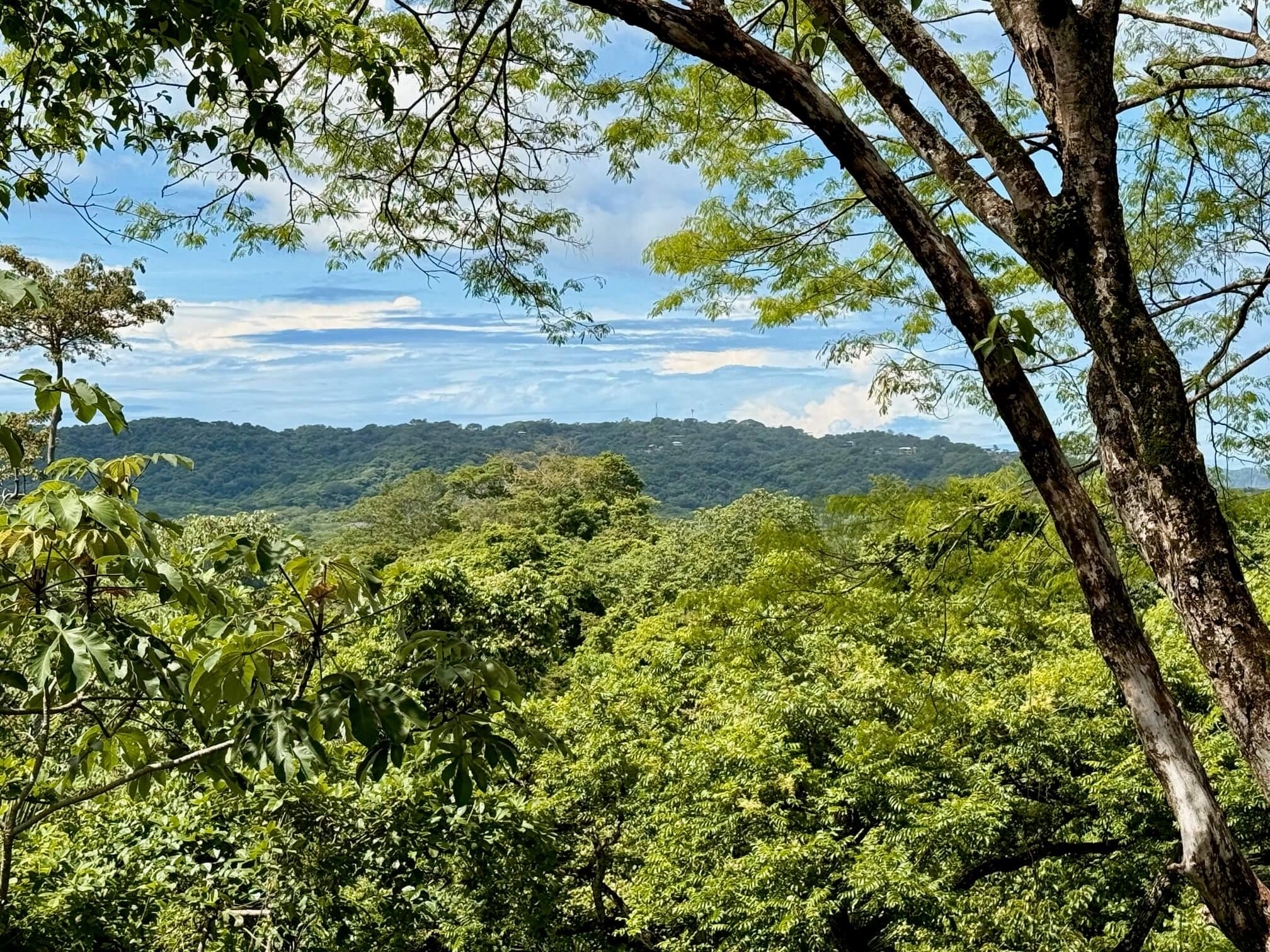 nosara-lots-sunny.jpg