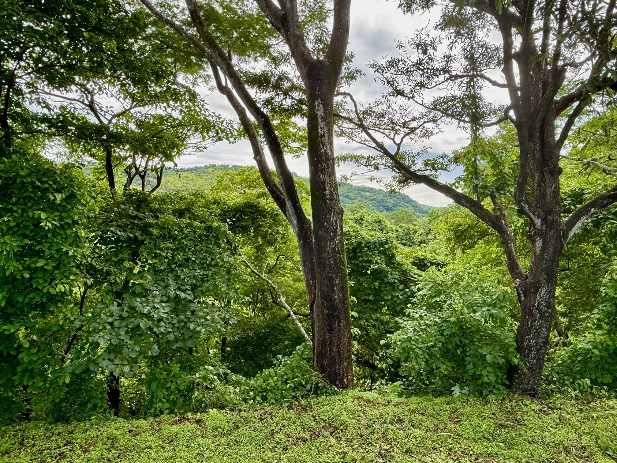 nosara-lots-valley-view.jpg